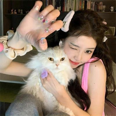 护国驸马爷一国驸马护山河